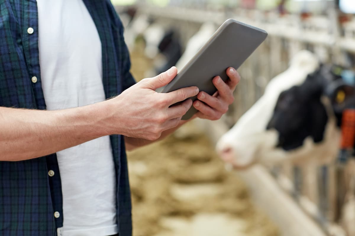 revise-dairy-supply-chain